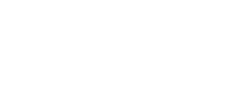 Baron Family Law